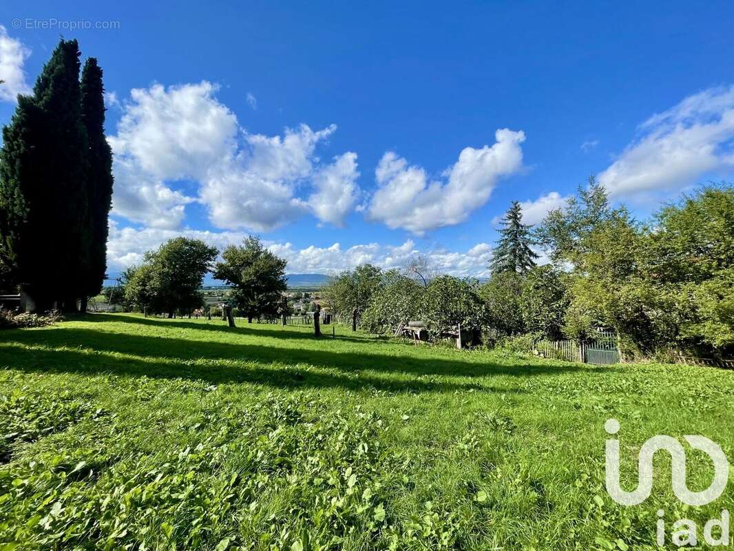 Photo 3 - Terrain à ASSIEU