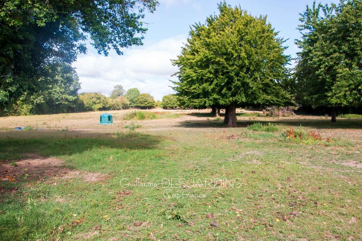 Propriété sur 1.5ha avec maison 7 pièces MONTS SUR ORNE (61) - photo 5