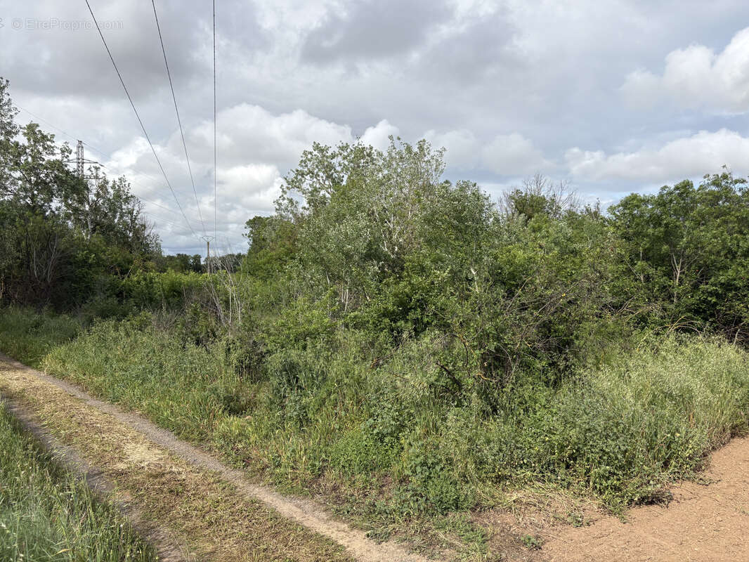 Terrain à FLORENSAC