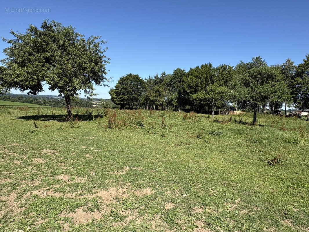 Propriete equestre à vendre proche haras du pin - photo 21