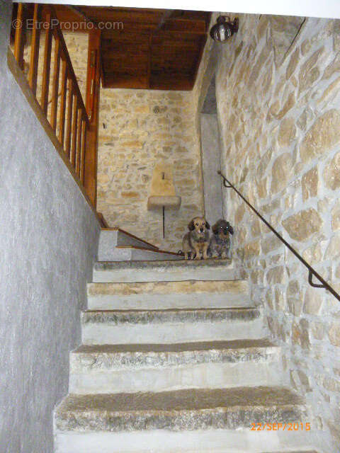 Maison à SAINT-HIPPOLYTE-DU-FORT