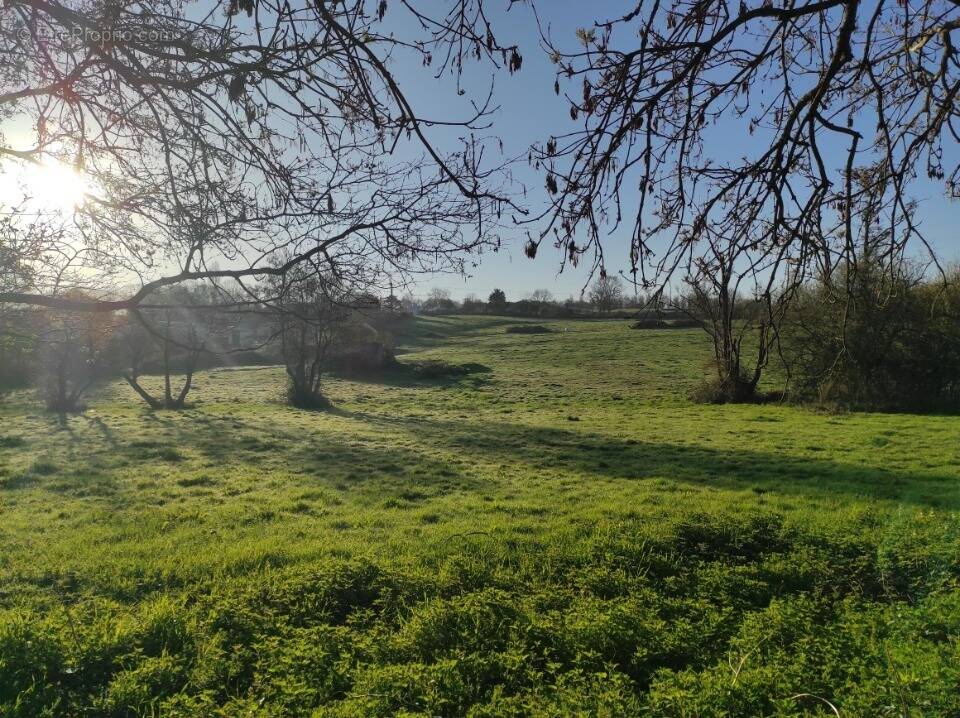 Terrain à VILLERS-SUR-MER