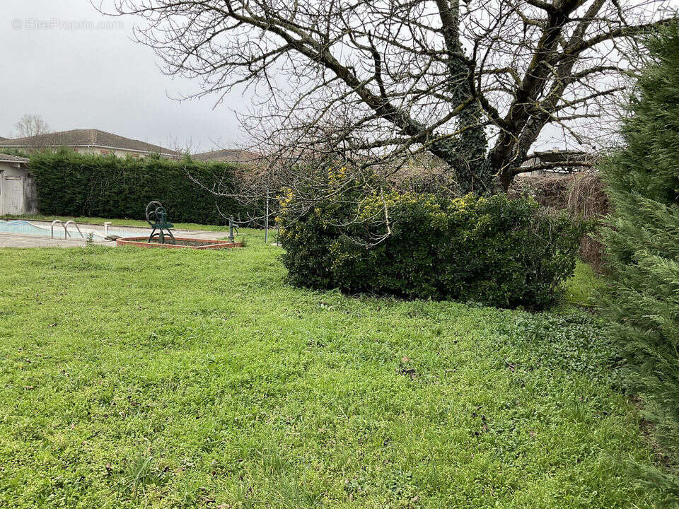 Terrain à AUCAMVILLE