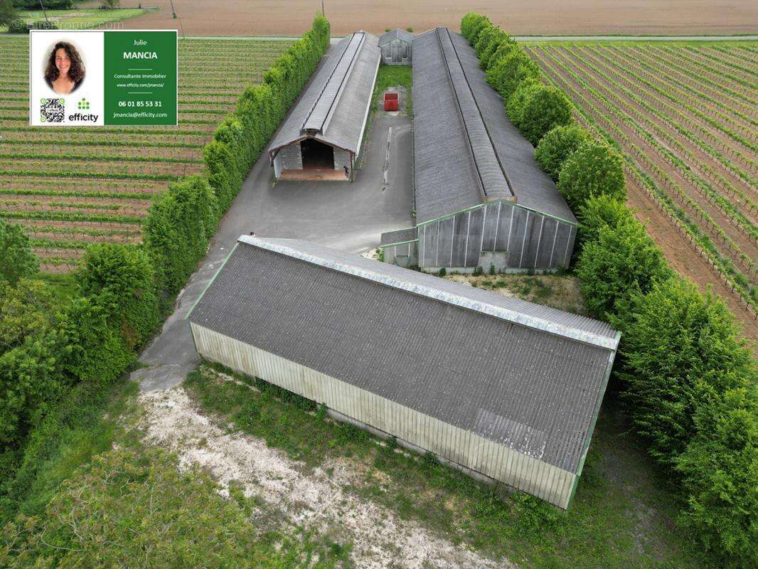 Commerce à ANGOULEME
