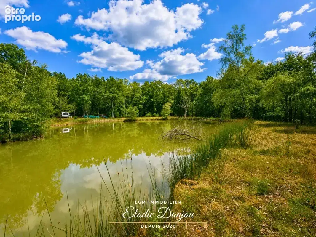 Terrain de loisirs avec étang sur près de 2 hectares - Mur-de-Sologne - photo 8
