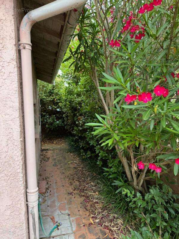 Maison à LE BOUSCAT