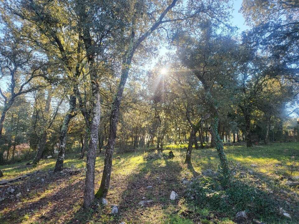 Terrain à LE THORONET