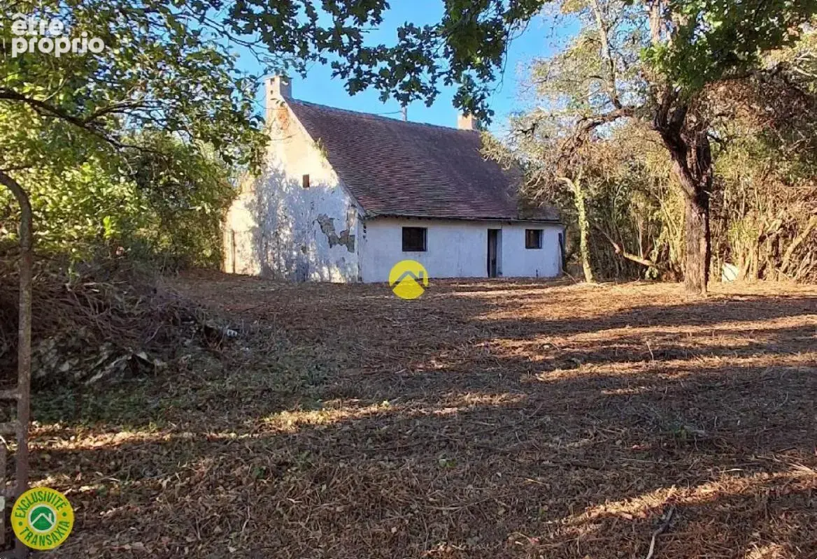 Maison avec grand jardin - photo 2