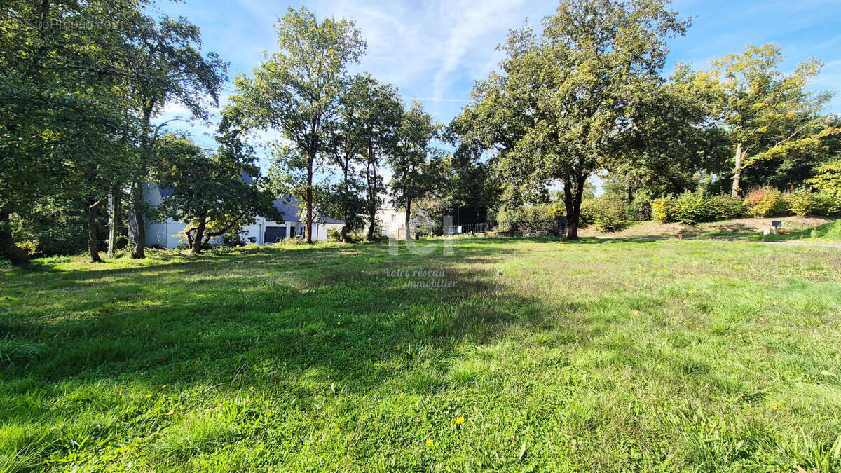 Terrain à SAINT-ETIENNE-DE-MONTLUC