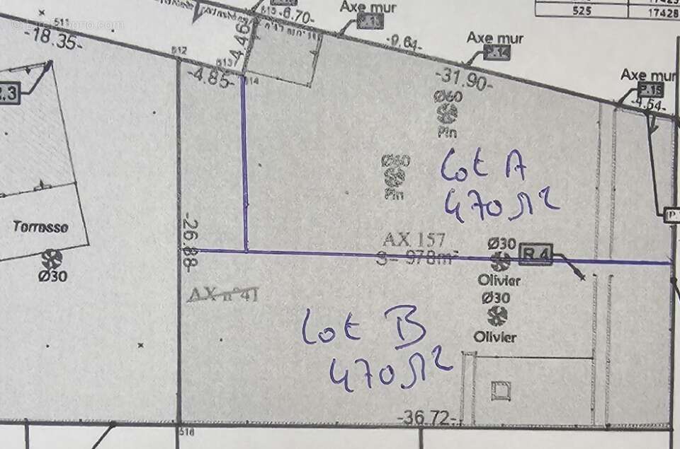 Terrain à LE POUGET