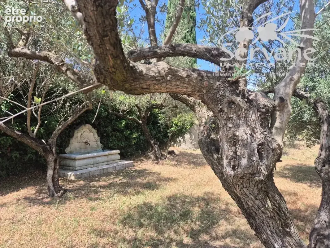 Cotignac belle villa traditionnelle avec piscine - photo 27