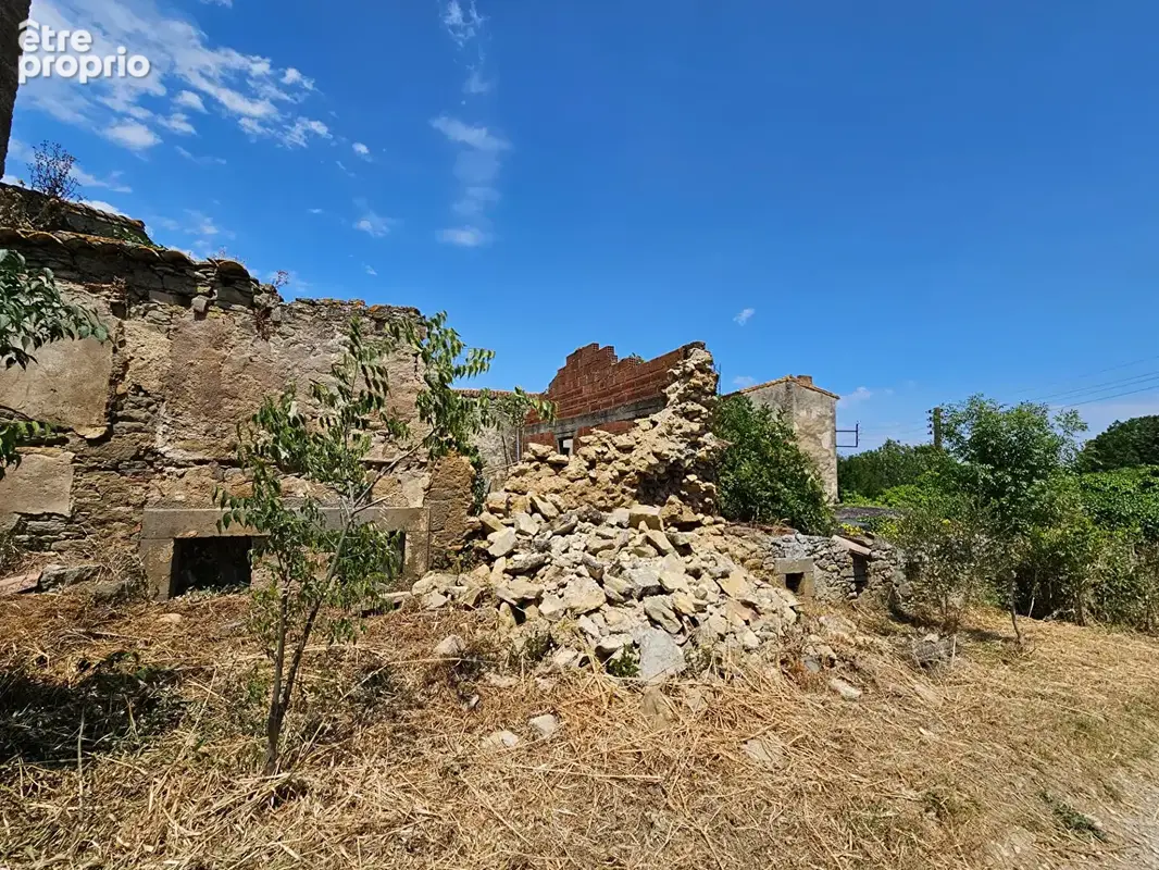 Partie de domaine sur 1.3 ha à Pennautier - photo 13