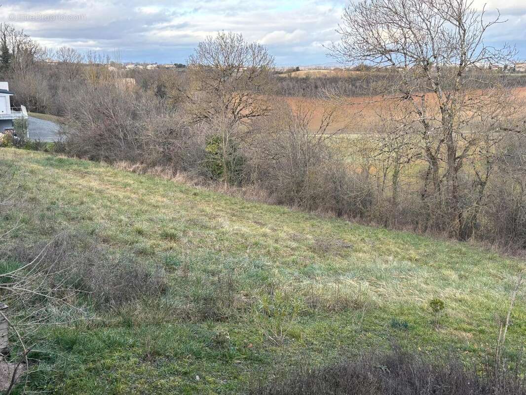 Photo 2 - Terrain à LABASTIDE-GABAUSSE