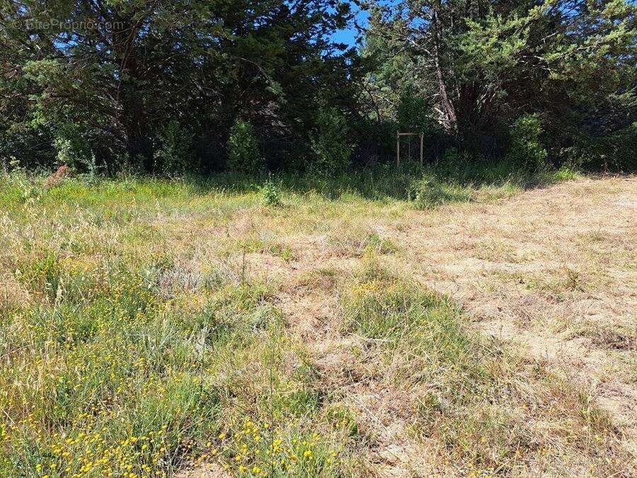Terrain 413 m² à Peynier  - photo 1