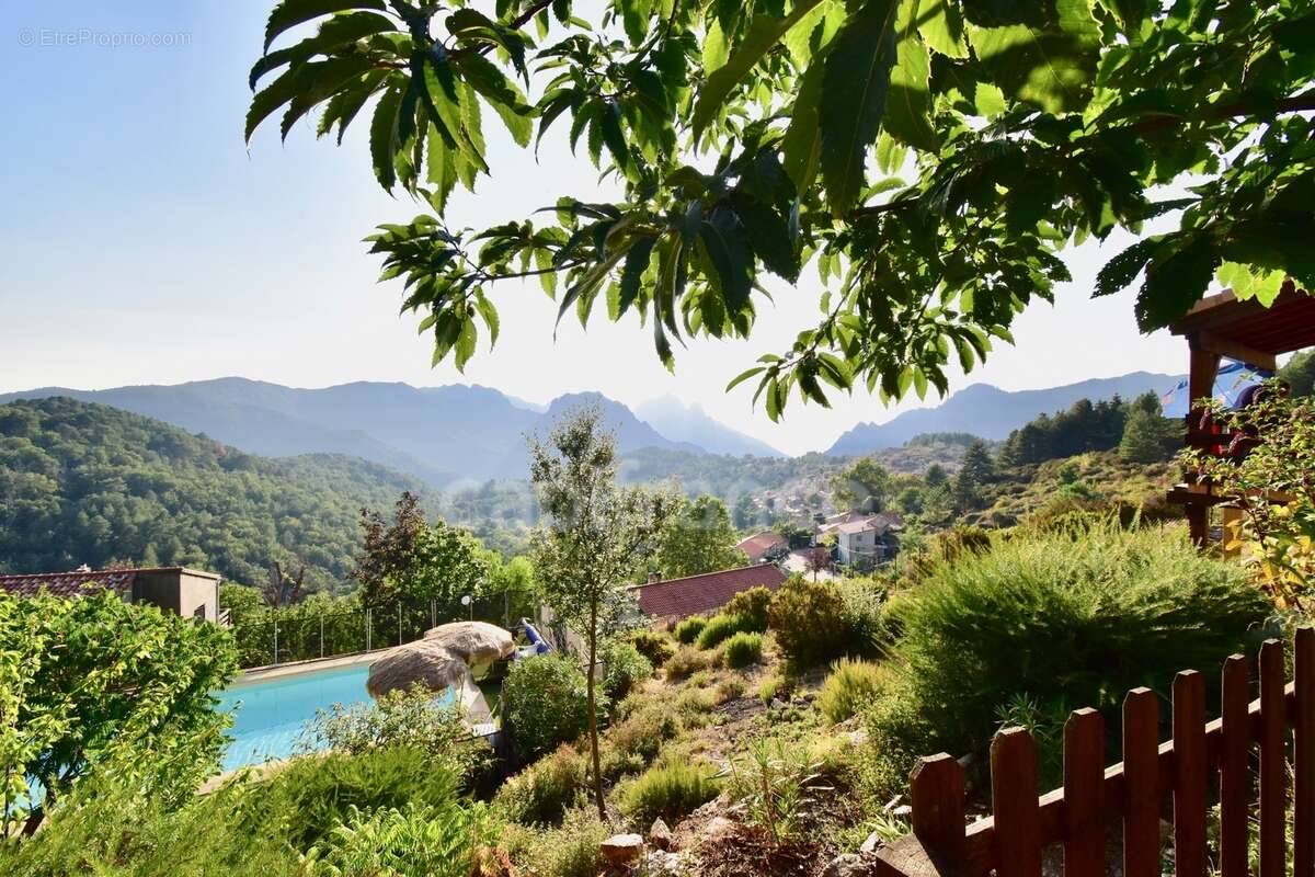 Dpt Corse (20), à vendre EVISA, propriété avec six chalets en bois, terrasse vue panoramique, piscine, parking - photo 15