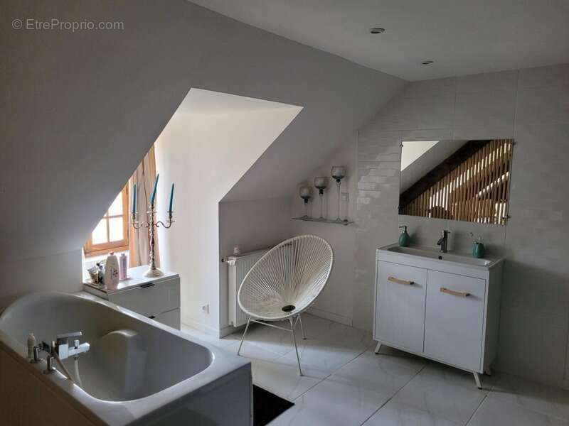 MEAULNE ( 03 )  Magnifique Propriété à vendre 10 pièces 365m2 Terrain 4179m2 - photo 7