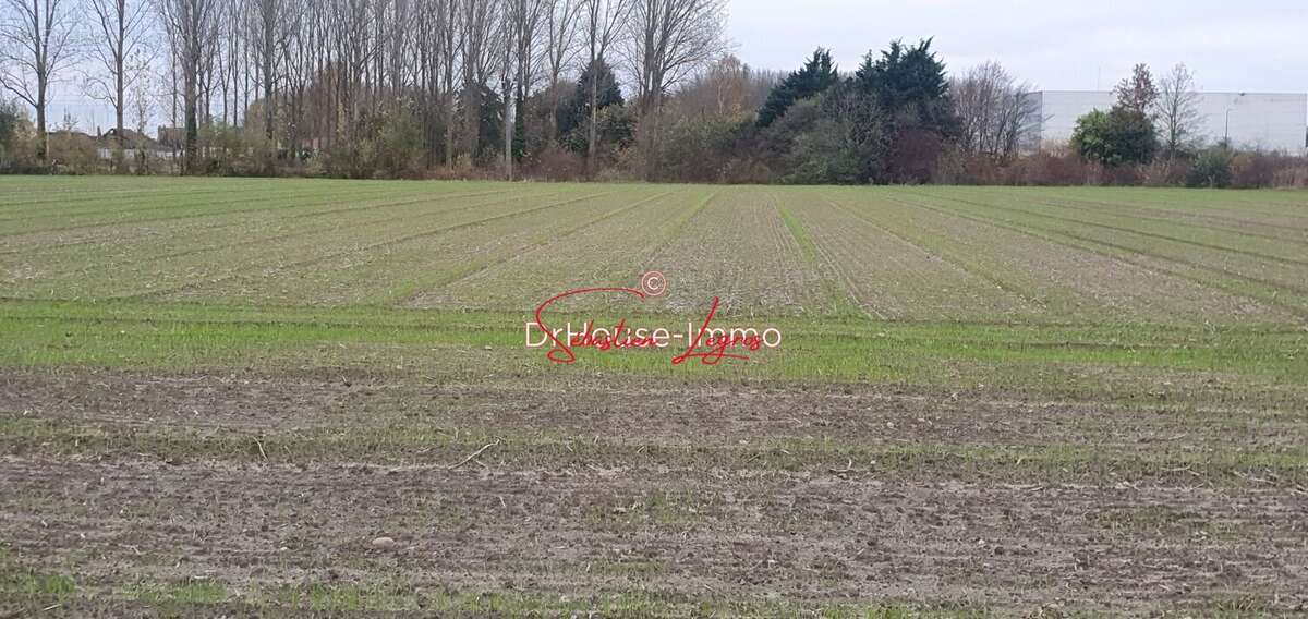 Terrain à MILLONFOSSE