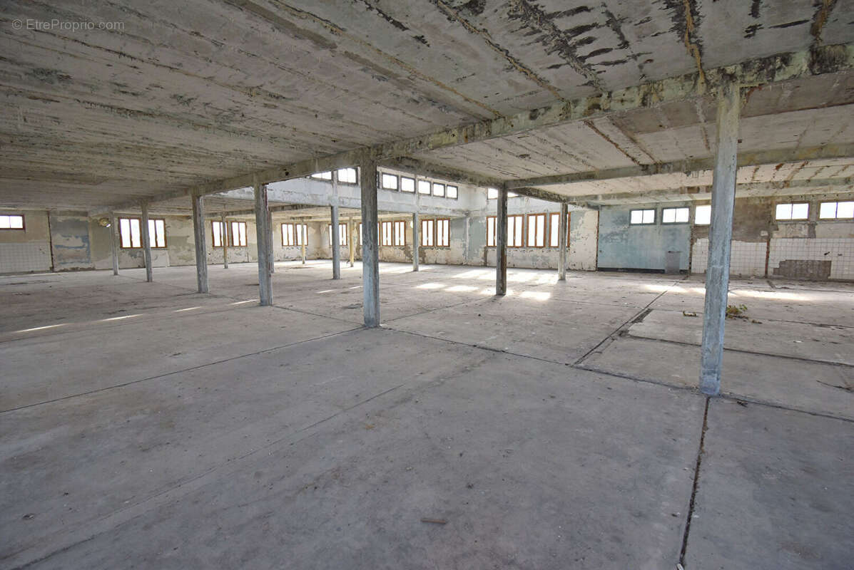 Commerce à SAINT-LEGER-SOUS-BRIENNE