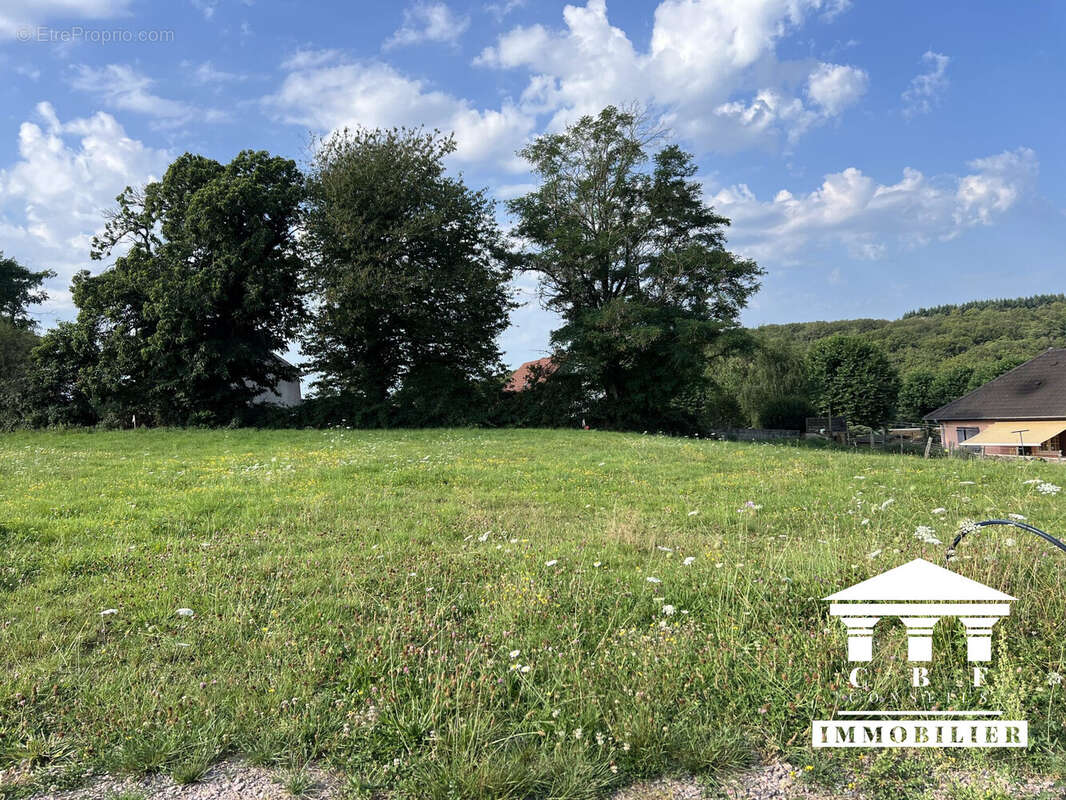 Terrain à SAINT-SERNIN-DU-BOIS