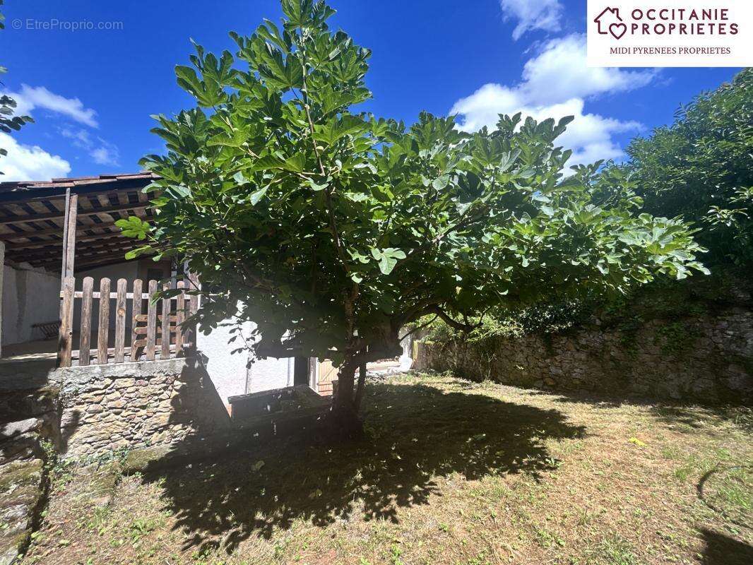 Maison à LES BORDES-SUR-ARIZE