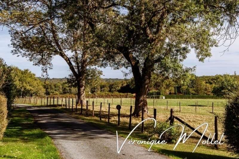 Maison à LIGNAN-DE-BORDEAUX
