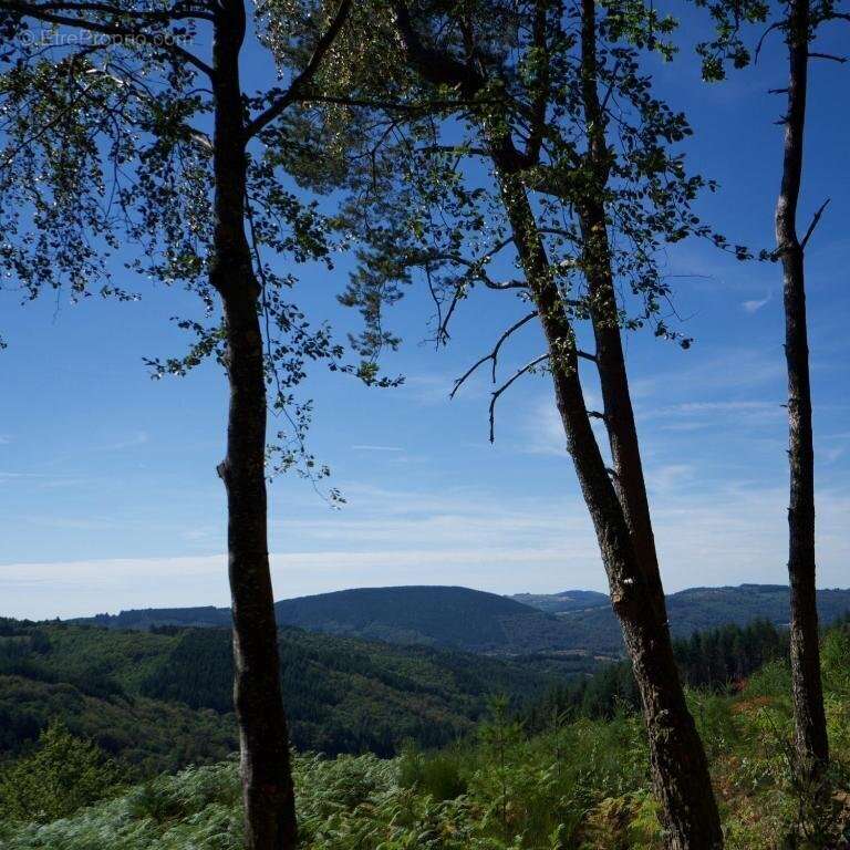 Domaine de 15 hectares au coeur de la nature - photo 17