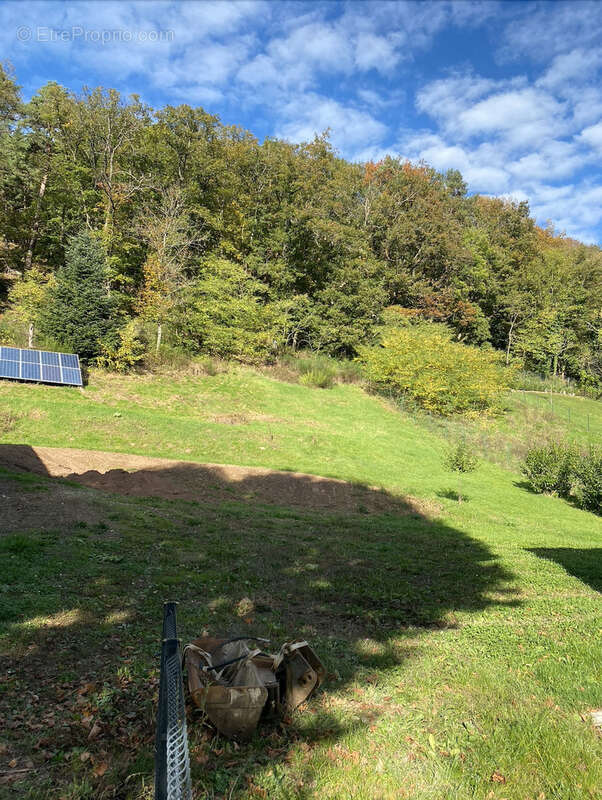 Terrain à STEINBACH