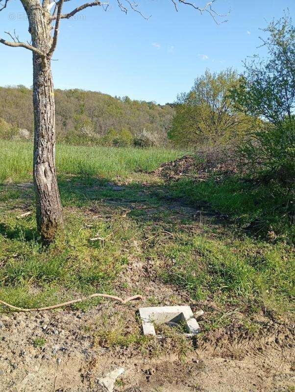 Terrain à CUSSET