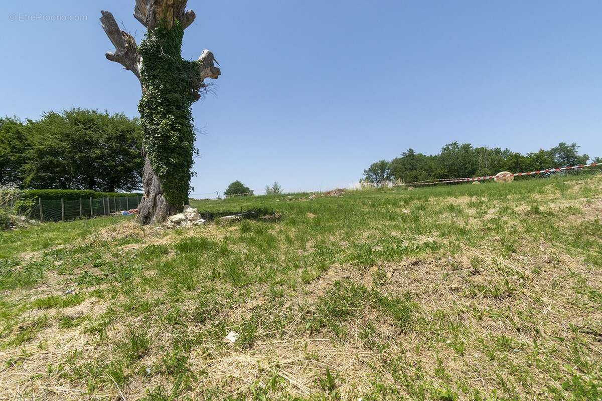 Maison à VILLENEUVE-DE-DURAS