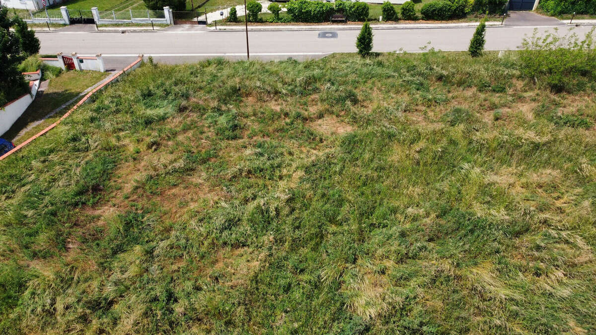 SERGINES (89) - Terrain a batir de 1450 m² - photo 4