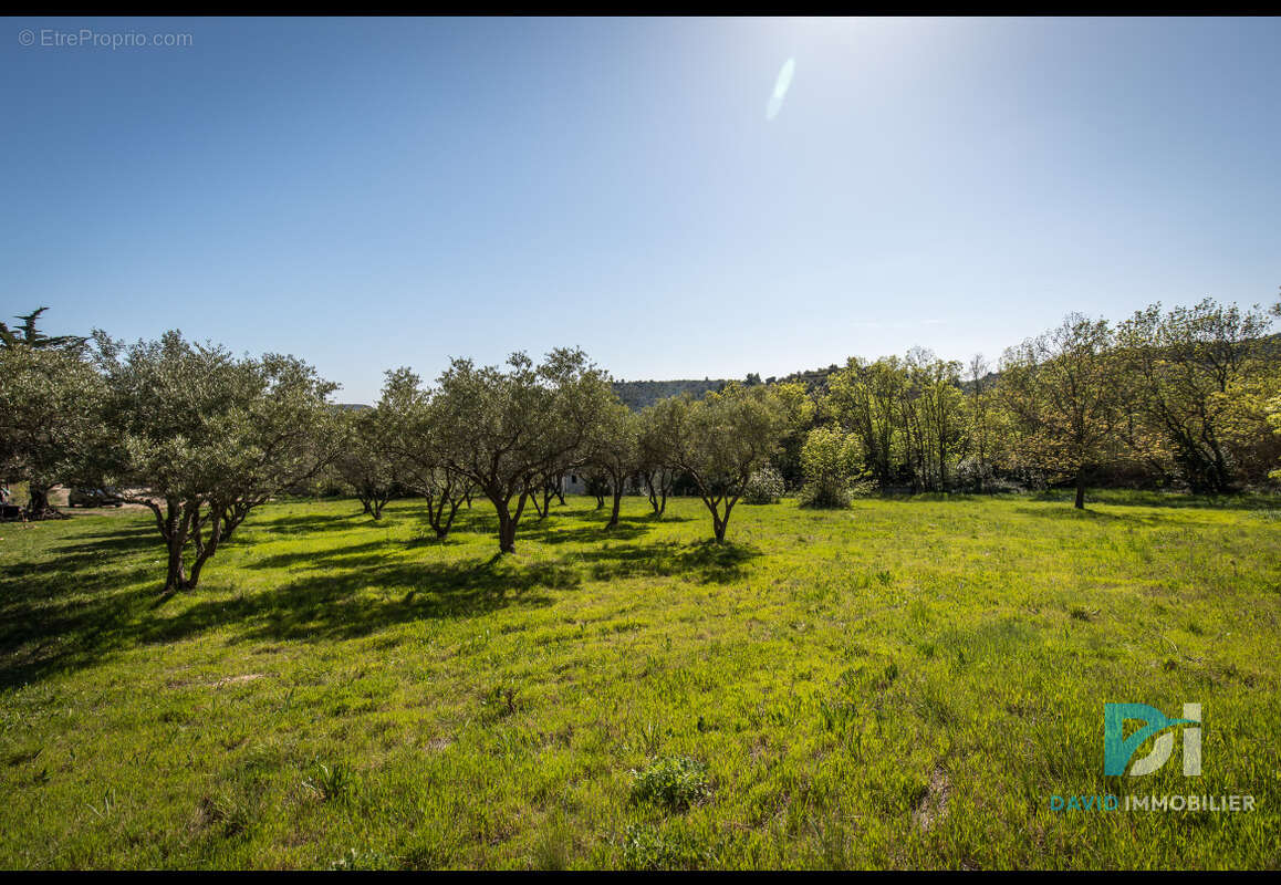 Terrain constructible - photo 2