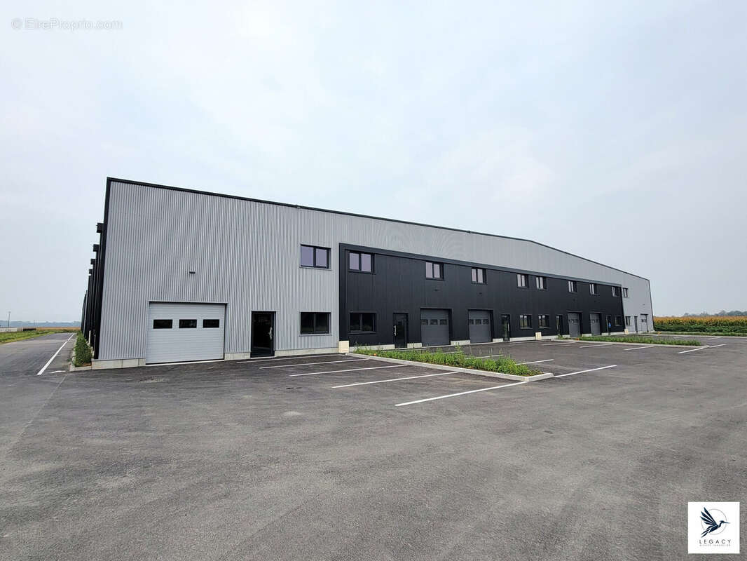 Commerce 320 m² à Fegersheim  - photo 3