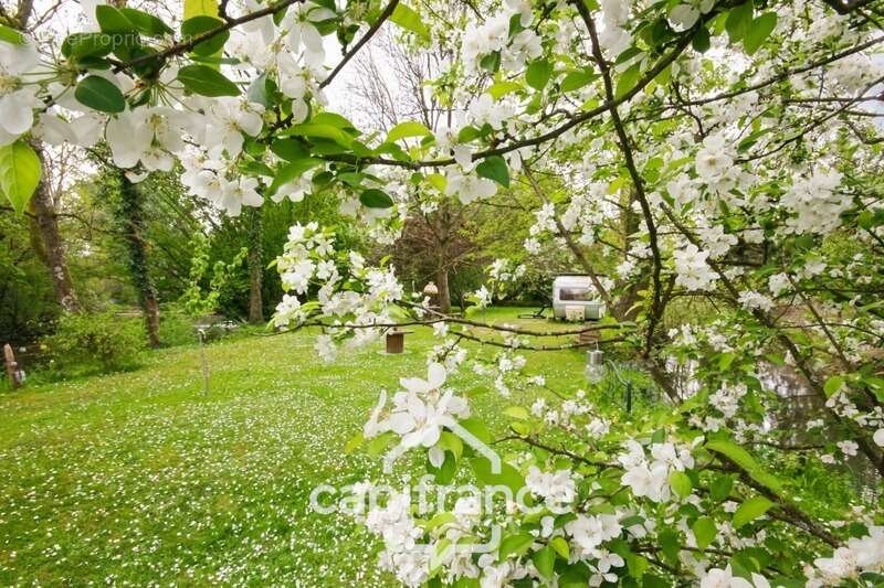 Proche SAINT-QUENTIN (02) : terrain de loisir 3200 m² au bord de l’Oise avec Chalet et potentiel locatif - photo 14