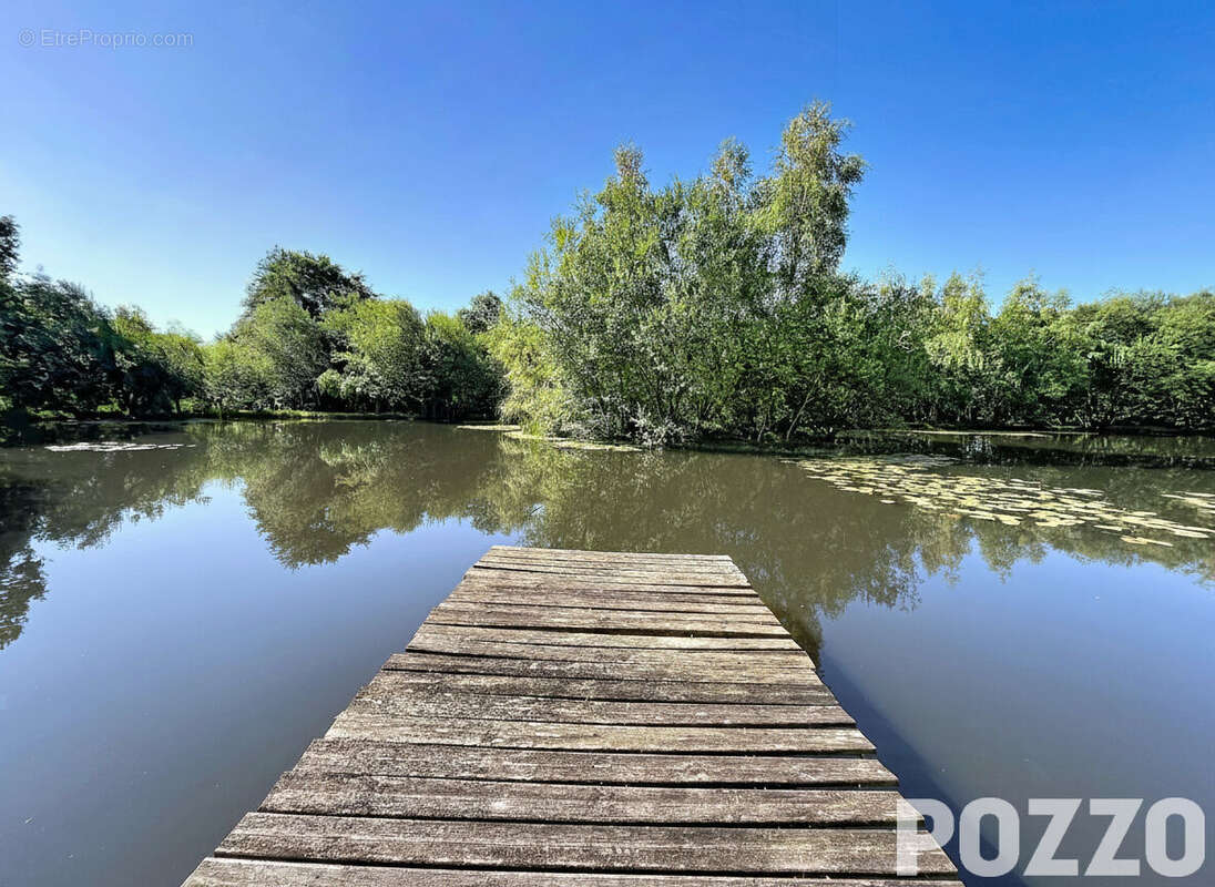 A VENDRE : Propriété d'exception - Longère normande de charme sur 5 hectares avec étang et dépendance - photo 4