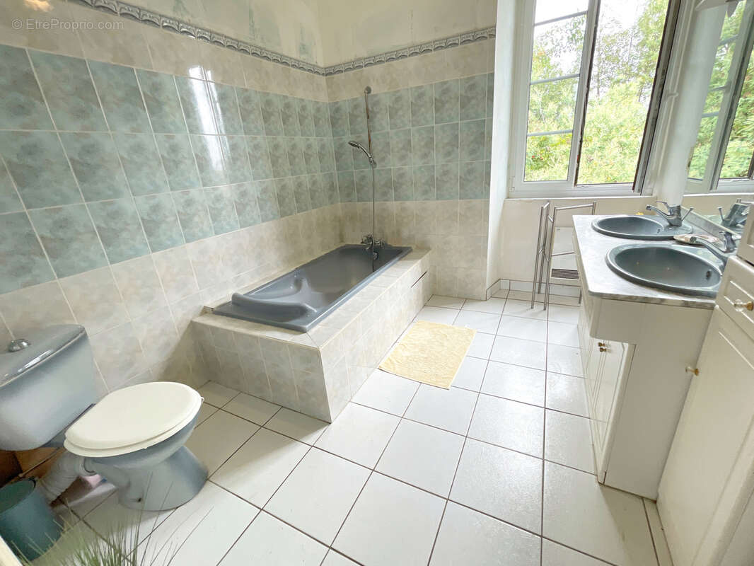 Maison de maître avec piscine et gîte - photo 17