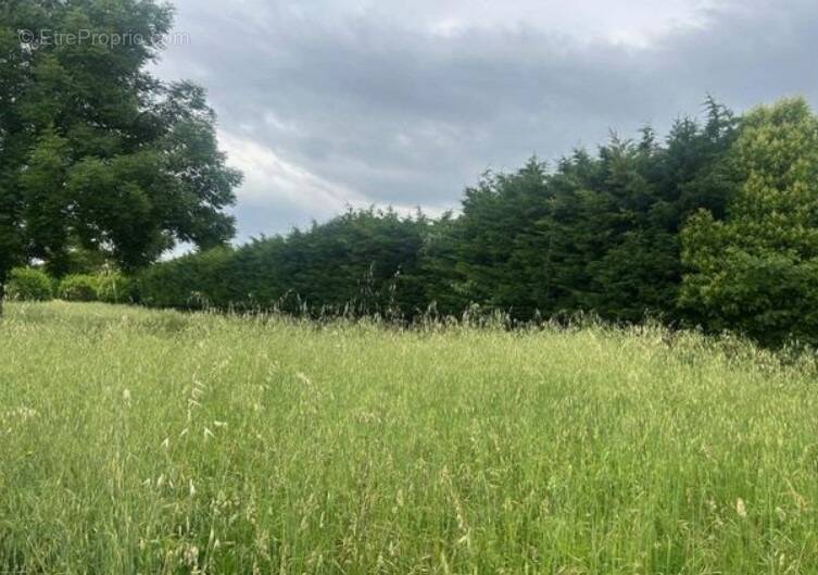 Terrain à LORIOL-SUR-DROME