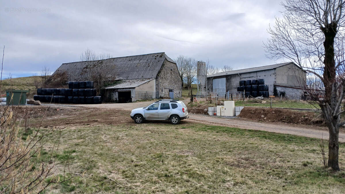 Maison à ANGLARDS-DE-SALERS
