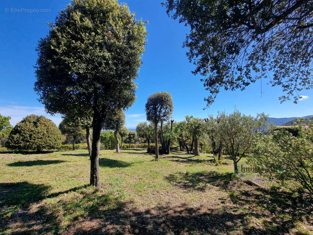 Maison à LAROQUE-DES-ALBERES