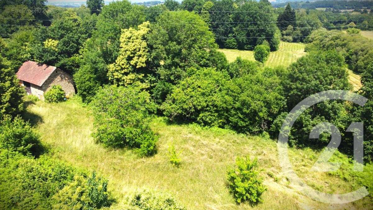 Terrain à VICQ-SUR-BREUILH