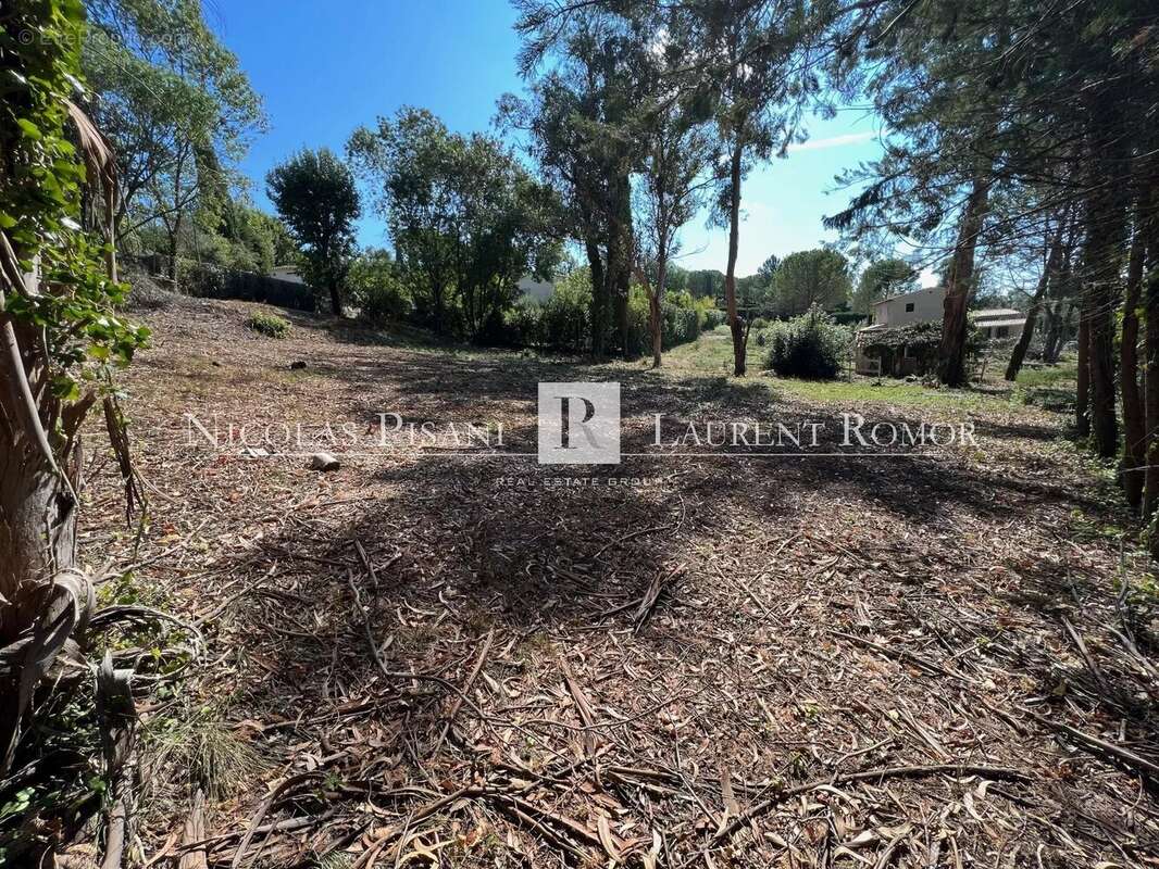 Terrain à SAINT-PAUL