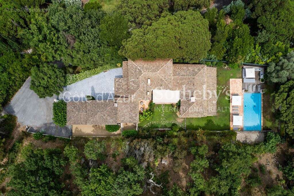 Mas provençal rénové à Ramatuelle avec 1,8 hectares de forêt - photo 16