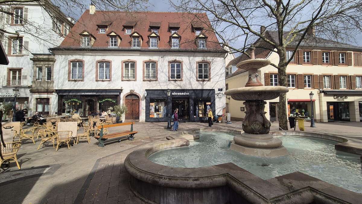 Commerce à HAGUENAU