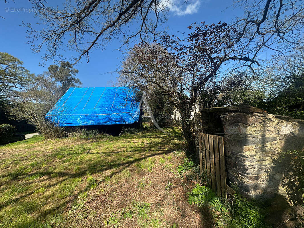 Terrain à NOZAY