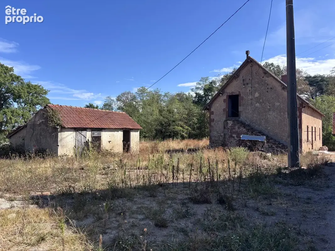 Le Donjon - Ferme à rénover avec une grande grange et des dépendances, sur un terrain de plus de 3 hectares co - photo 3