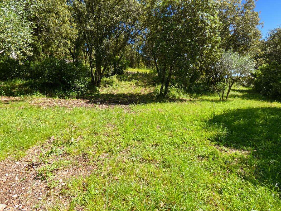 Terrain À Vendre vue panoramique 8 264m2 - photo 9