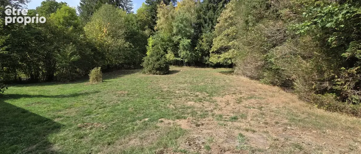 Plaine, ancienne ferme de 242 m2 sur 37 ares de terrain sans vis-à-vis, havre de paix absolu - photo 5