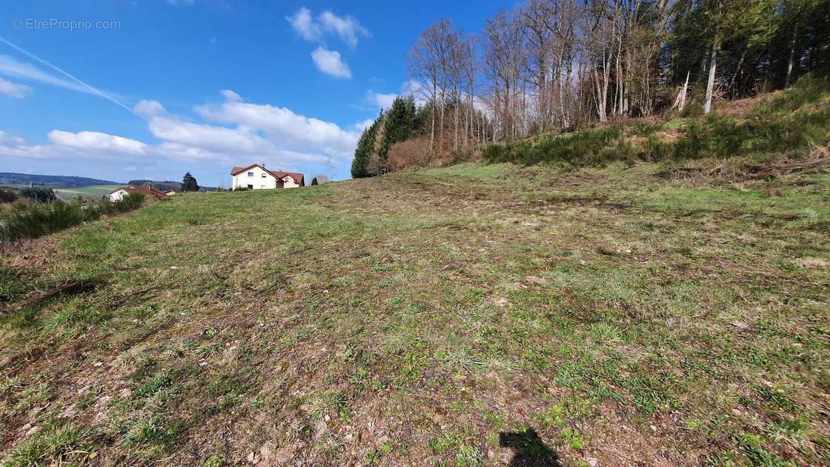 Photo 2 - Terrain à LEPANGES-SUR-VOLOGNE