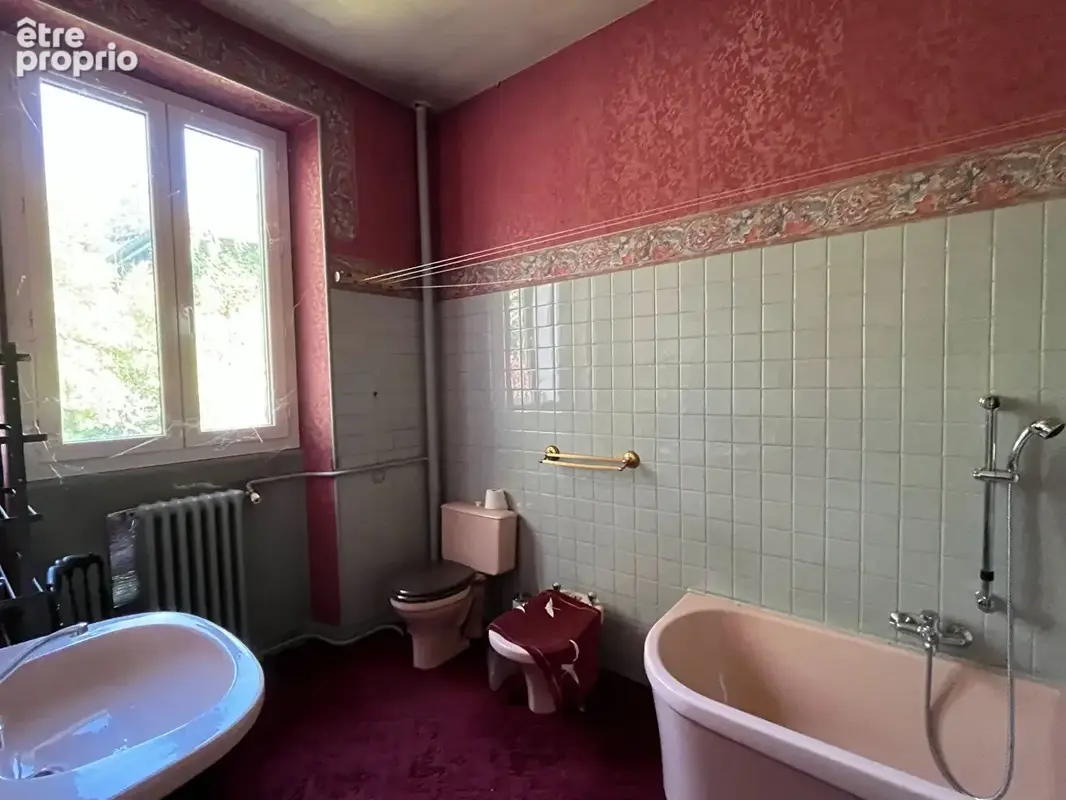 Maison 253m² à savignac-les-églises - photo 11