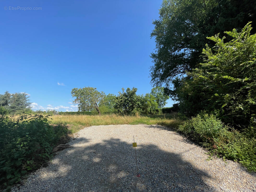 Terrain à RUFFEY-LES-BEAUNE