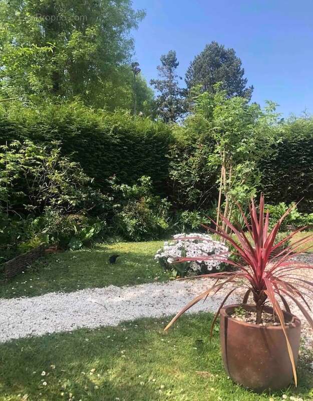 Appartement à BOIS-GUILLAUME